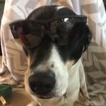 Joseph McDougal - @jomcawesome - Instagram