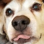 Joseph McGehee - @joseph_mcgehee - Instagram