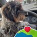 Joseph Meyer - Facebook
