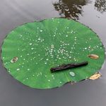Joseph Meyer - @joseph___meyer - Instagram