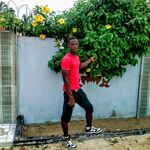 Joseph Mignanou - @josephmignanou - Instagram