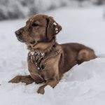 Joseph Mikhail - @joseph_mikhail - Instagram