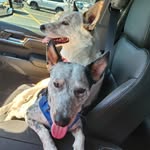 Joseph Million - @new2arkansas1 - Instagram