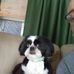 Joseph Minervini - Facebook