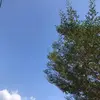 Joseph Mitchell ❌ - @joseph.mitchell38 - TikTok