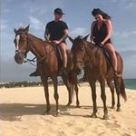 Joseph Moloney - @joseph.s.moloney - Instagram