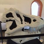 Joseph.moloney - @face_pace70 - Instagram