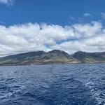 @josephmommacino - Instagram