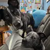 josephmoore161 - @josephmoore161 - TikTok