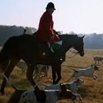 Joseph Murtagh - @murtaghjoseph - Instagram
