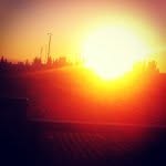 Joseph Murtagh - @gatorackwo - Instagram