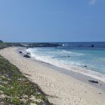 Joseph Nemec - @big.island.tight.budget - Instagram
