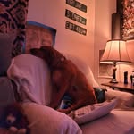 Joseph Noon - @josephnoon4 - Instagram