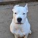Joseph Norfleet - Facebook