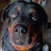 Joe Nunemaker - Facebook