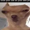 Joseph Nunemaker - @pieaceofbread4578 - TikTok