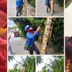 Joseph Ocampo - Facebook