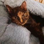 Wayne Joseph - @waynejoseph.occhipinti - Instagram