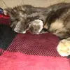 Joseph Olin - @joseph.olin6 - TikTok