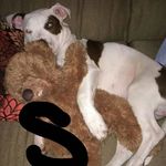 Joseph olmos - @olmos.joseph - Instagram