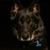 Joe Olmstead - Facebook