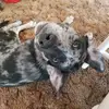Joseph.Olson - @joseph.olson - TikTok
