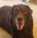 Joseph Oravec - Facebook