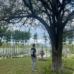 Joseph Ortiz - @joseph.otz - Instagram