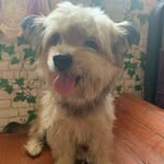 Joseph Andrew Paden - @josephandrewpaden - Instagram