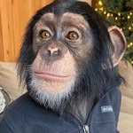 Joseph Papa - @joseph.papa.s - Instagram