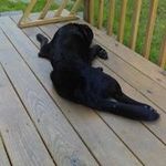 Joseph Parfitt - @parfittjoseph - Instagram