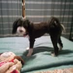 Joseph Parson - @josephparson6 - Instagram