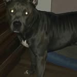 Joseph Parson - @parson3576 - Instagram