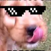 Joseph Parsons - @josephparsons69 - TikTok