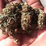 Patch Joseph - @joseph.patch - Instagram