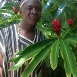 Joseph Paye - @josephpaye - Instagram