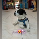 Joseph Paye - @kusho_cuchillo - Instagram