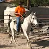 josephpeden89 - @josephpeden89 - TikTok