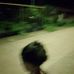 Joseph Pegaro - Facebook
