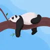 josephpendleton669 - @josephpendleton669 - TikTok
