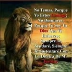 Joseph Perdomo - @joseph.216 - Instagram