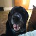 Joseph Petrocco - Facebook