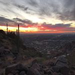Joseph Pfeffer - @joeypfeef - Instagram