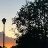 georgkhvrv2 - @joseph.pickle - TikTok
