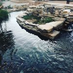 Joseph Pierson - @utroll1 - Instagram