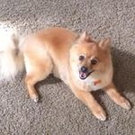 Joseph Pierson - @joseph.pierson - Instagram