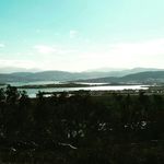 Joseph Pigden - @jo_seph_piggy - Instagram