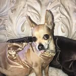 Joseph Pigg - @kurhangalupa - Instagram