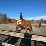 FarmerJoe - @josephpiofrancis - Instagram