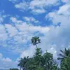 anyplace  Joseph - @anyplace.joseph - TikTok